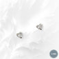 925 Sterling Silver Stud Earrings with Cubic Zirconia Crystals