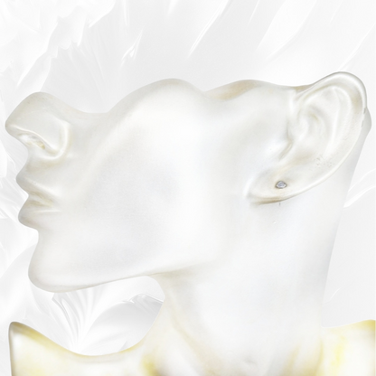 925 Sterling Silver Stud Earrings with Cubic Zirconia Crystals